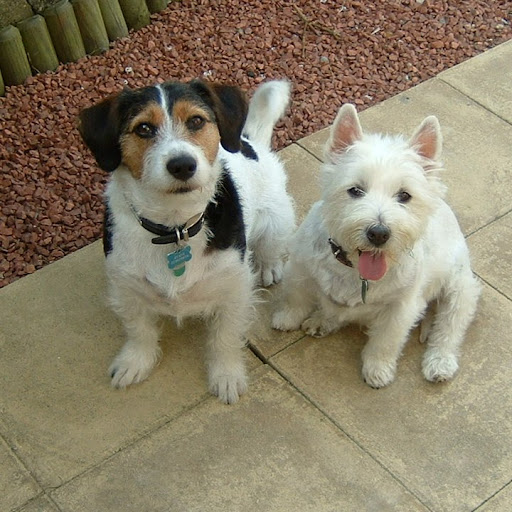 Pauline Evans Photo 25