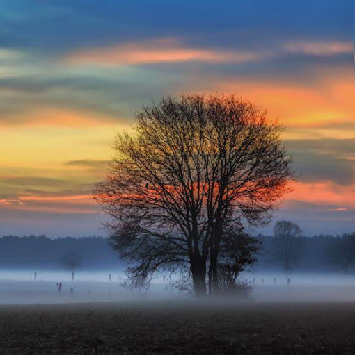 Paul Michiels Photo 3