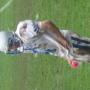 Brandon Mooney Photo 24