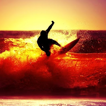 Harry Nolan Photo 30