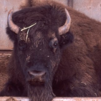 Neal Rasmussen Photo 3