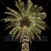 Roberta Simpson Photo 7