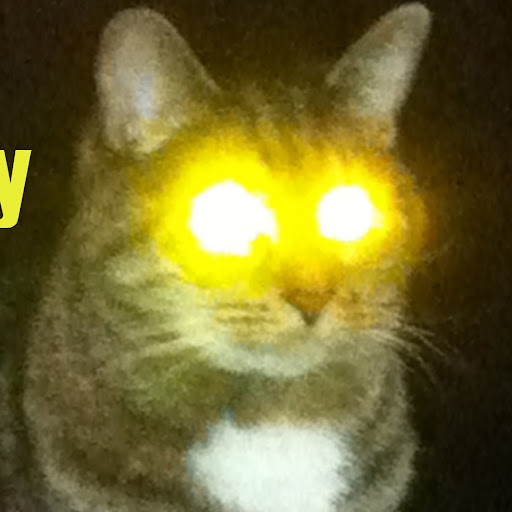 Jon Stout Photo 37 Jon Stout Photo 37