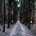 Jan Wald Photo 5