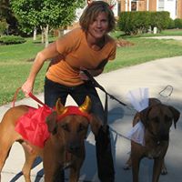 Cynthia Birnbaum Photo 6