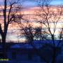 Tracy Griggs Photo 6