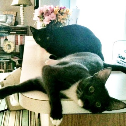 Debbie Boylan Photo 5