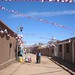 Patricia Leach Photo 18