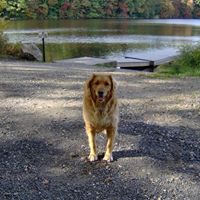 Jeffrey Bridge Photo 12