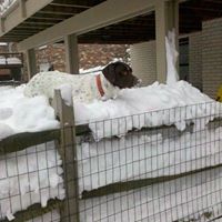 Judith Mohr Photo 19