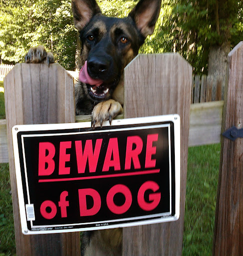 Coleen Allen Photo 4