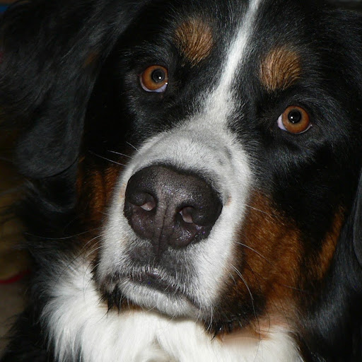 Sue Andersen Photo 36