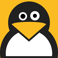 Kelly Williams Photo 21