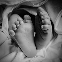 Megan Lawrence Photo 34 Megan Lawrence Photo 34