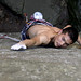 Larry Lin Photo 14