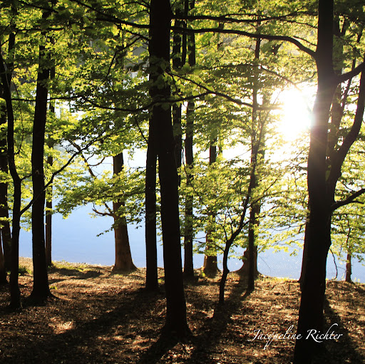 Jacqueline Richter Photo 16