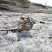 Michelle Winters Photo 14