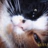 Ann Byers Photo 36