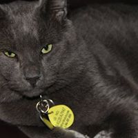 Christine Reiser Photo 6