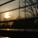 Rickey Rains Photo 2
