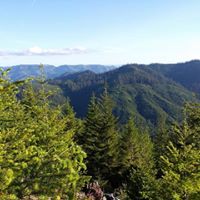 Jeremy Chapman Photo 15