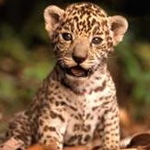 Amber Fraley Photo 6