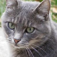 Rebecca Morey Photo 4