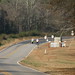 Richard Macon Photo 22
