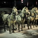 Bing Huang Photo 23
