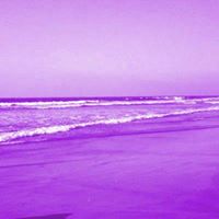 Linda Minter Photo 16