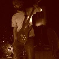 David Turney Photo 15