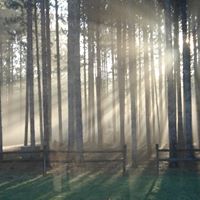 Allen Franks Photo 10