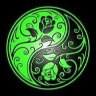 Martin Mullin Photo 3