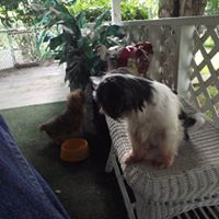 Douglas Potts Photo 10