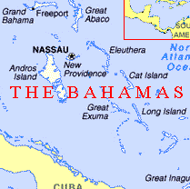 Debra Mcdonald Photo 20