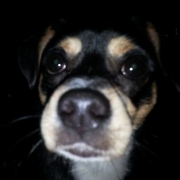 Evelyn Clark Photo 23