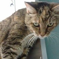 Pamela Mckinley Photo 5