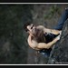 David O'Donnell Photo 20