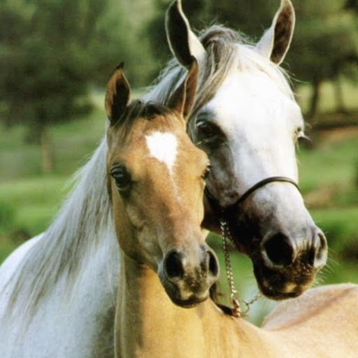 Jodie Kenyon Photo 1