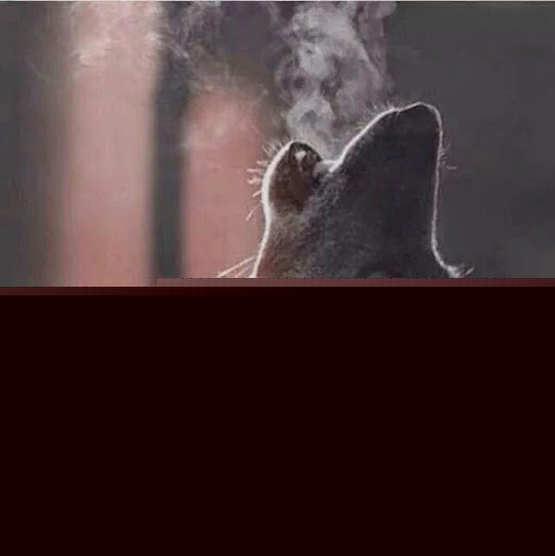 Raymond Walker Photo 36