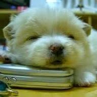 Janice Almeida Photo 20