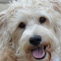 Ellen Wilkinson Photo 13 Ellen Wilkinson Photo 13