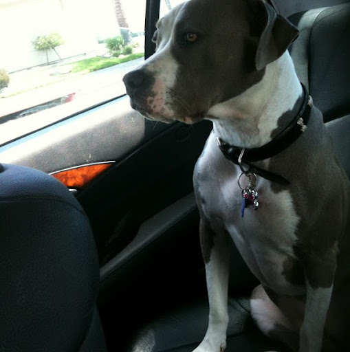 Martha Chapman Photo 15