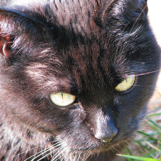 Wendy Underhill Photo 29