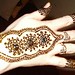 Sarah Khan Photo 22