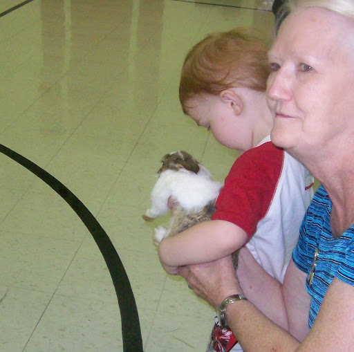Carolyn Stevens Photo 17