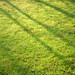 April Green Photo 41