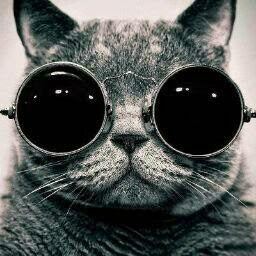 Warren Roberson Photo 7