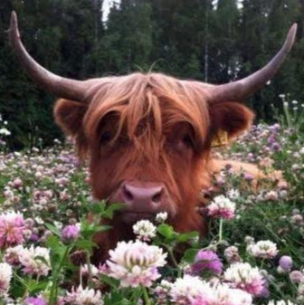 Casey Reynolds Photo 22