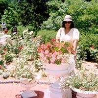 Delores Moore Photo 4